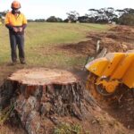 Tree Stump Removals