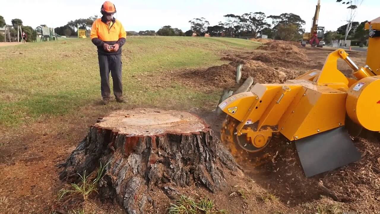 Tree Stump Removals