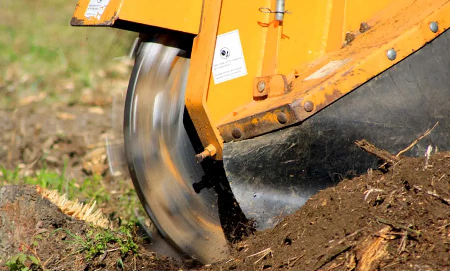 stump grinding prices